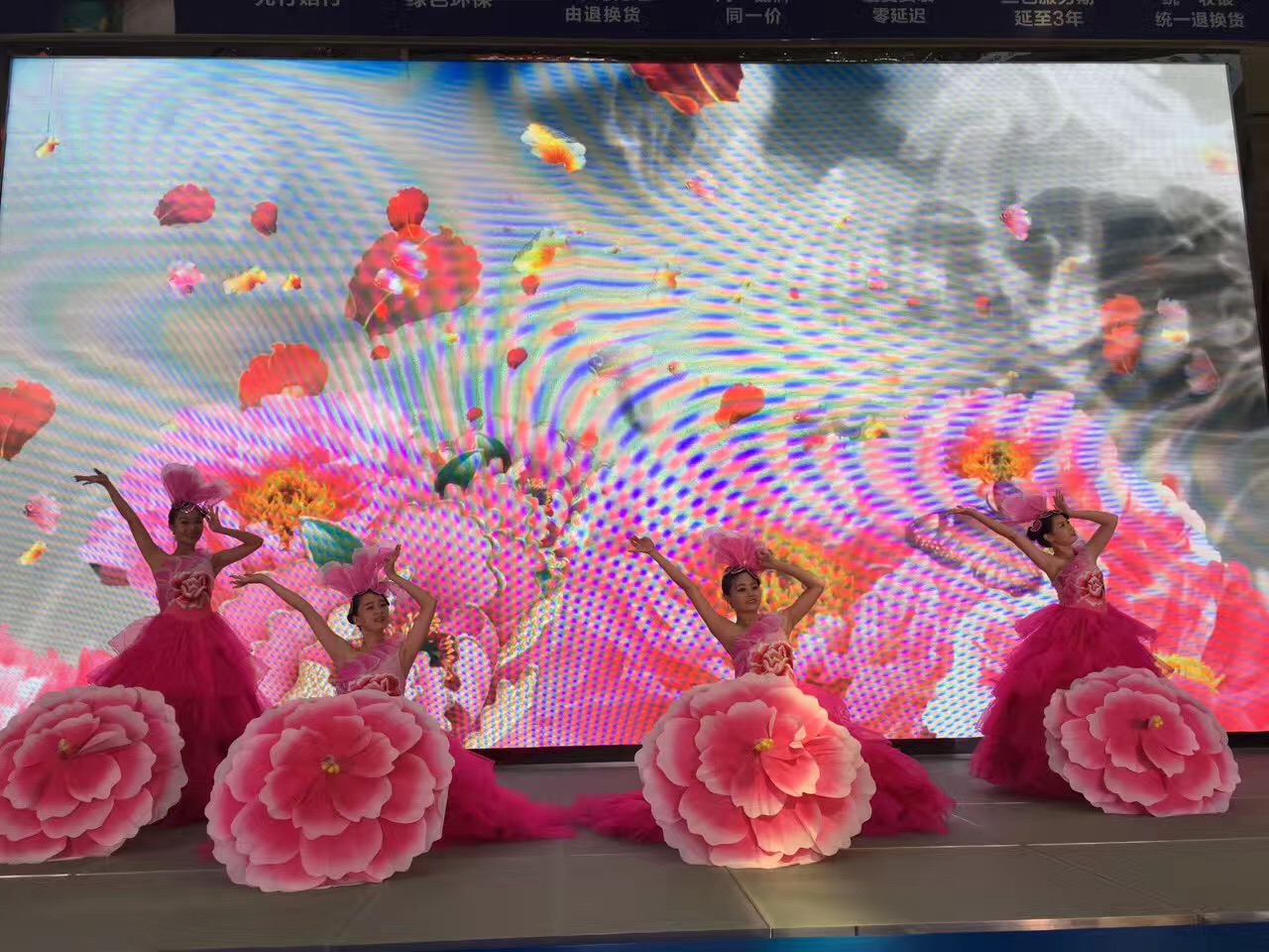 F6福鹿会_官方网站app下载