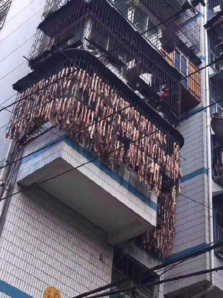 F6福鹿会_官方网站app下载