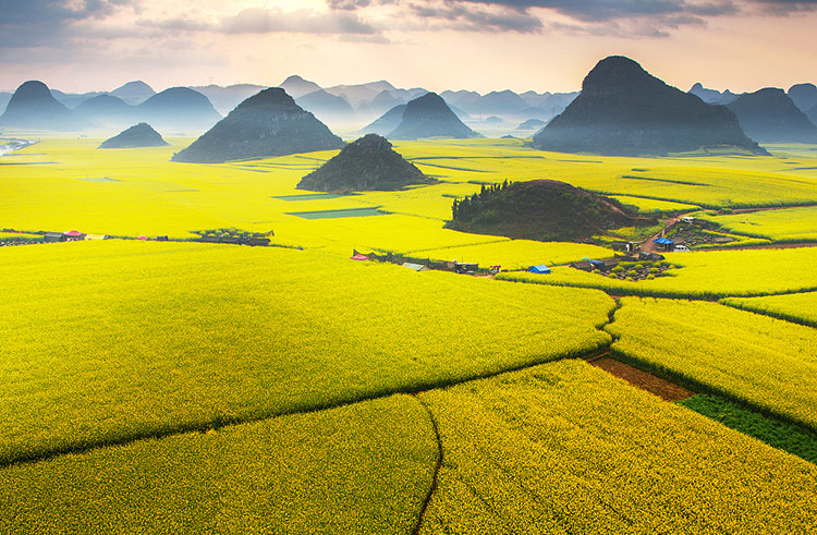 F6福鹿会_官方网站app下载