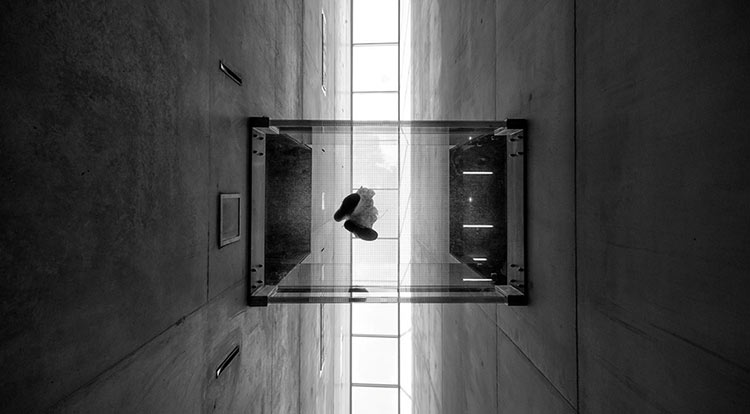 F6福鹿会_官方网站app下载