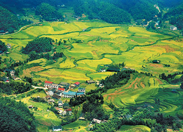 F6福鹿会_官方网站app下载