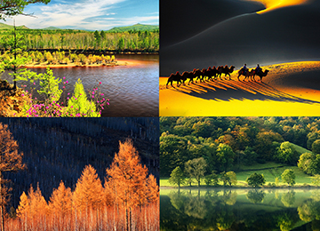 F6福鹿会_官方网站app下载