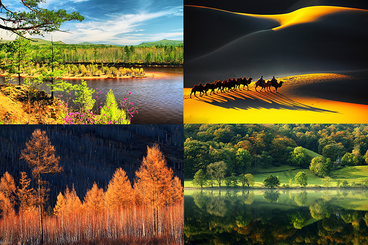 F6福鹿会_官方网站app下载