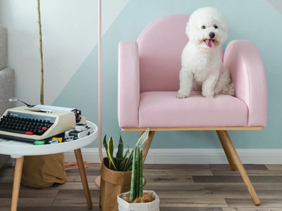 F6福鹿会_官方网站app下载