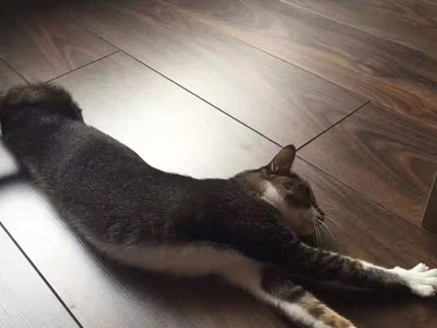 F6福鹿会_官方网站app下载