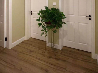 F6福鹿会_官方网站app下载