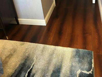 F6福鹿会_官方网站app下载