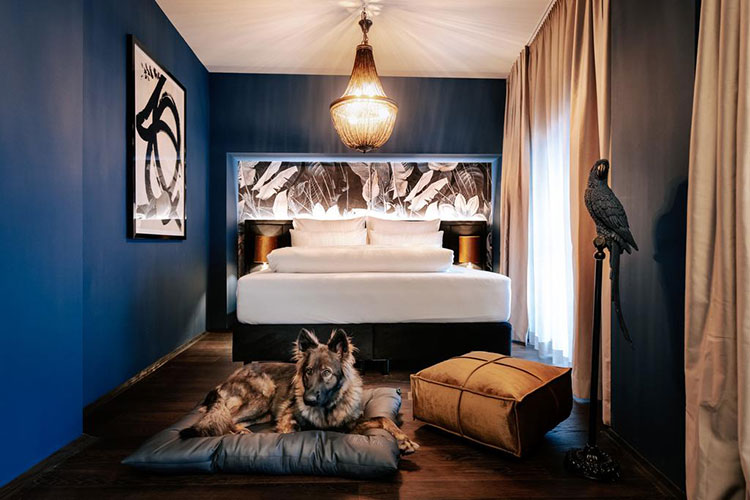 F6福鹿会_官方网站app下载