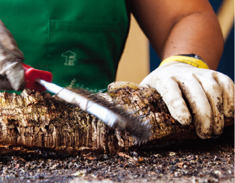 F6福鹿会_官方网站app下载