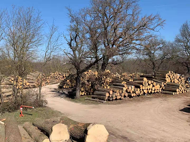 F6福鹿会_官方网站app下载