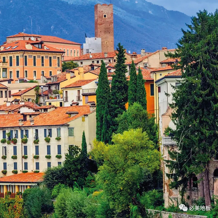 F6福鹿会_官方网站app下载