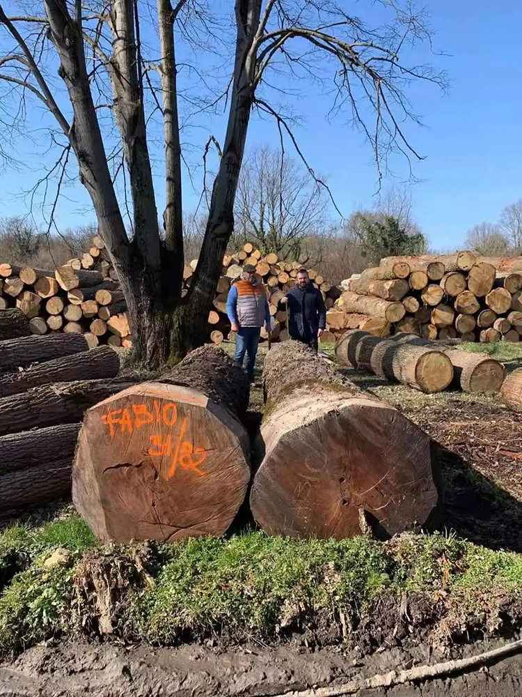 F6福鹿会_官方网站app下载