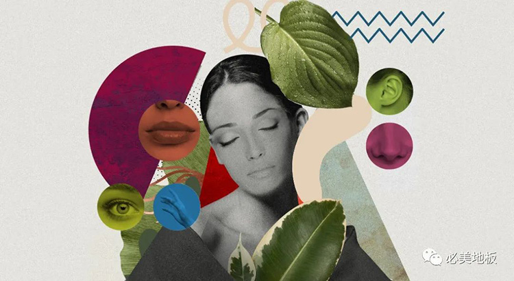 F6福鹿会_官方网站app下载