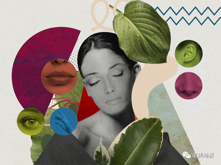 F6福鹿会_官方网站app下载