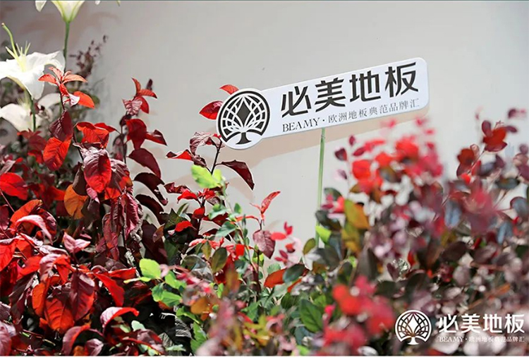 F6福鹿会_官方网站app下载