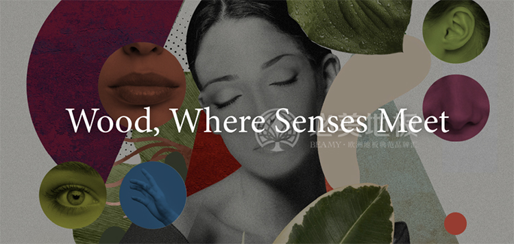 F6福鹿会_官方网站app下载