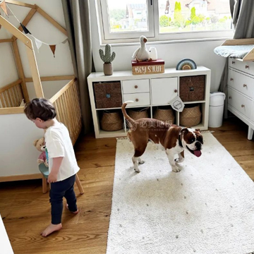 F6福鹿会_官方网站app下载