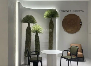 F6福鹿会_官方网站app下载