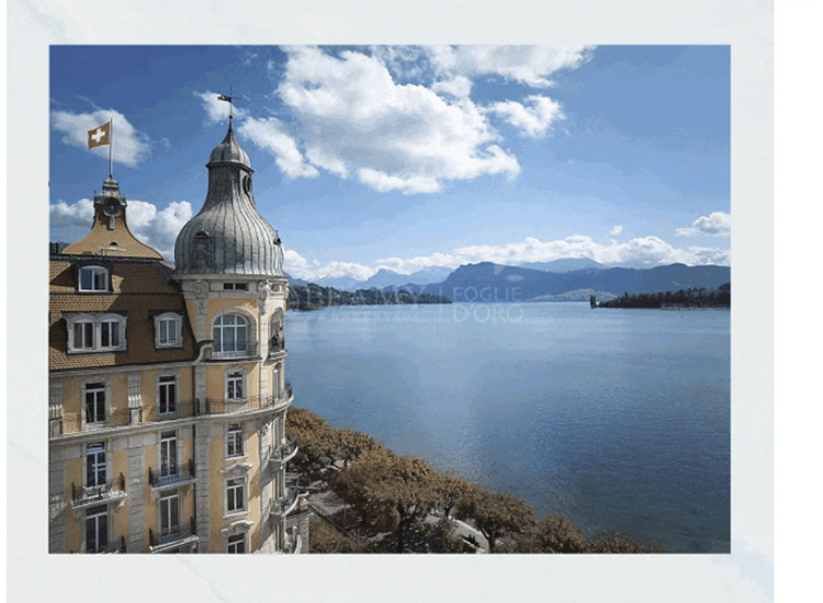 F6福鹿会_官方网站app下载