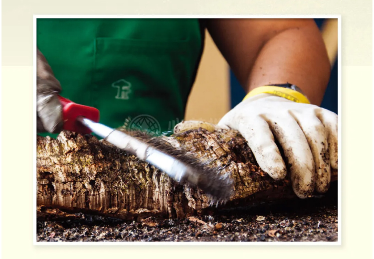 F6福鹿会_官方网站app下载