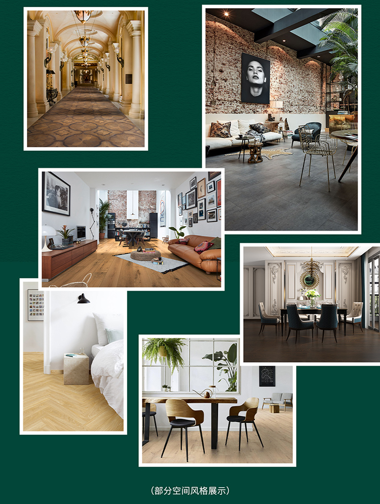 F6福鹿会_官方网站app下载