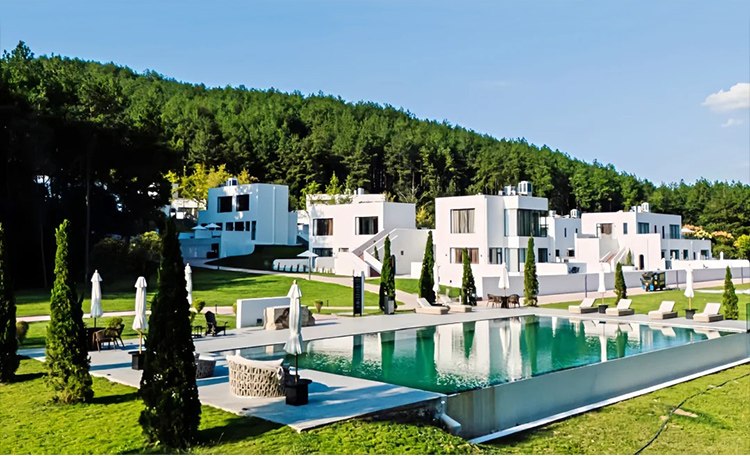 F6福鹿会_官方网站app下载