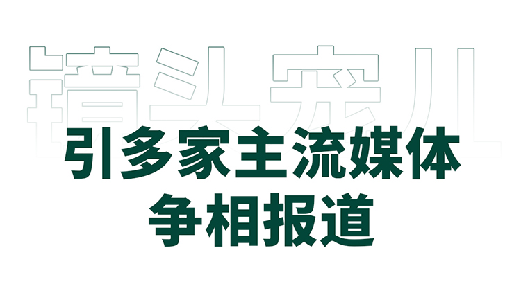 F6福鹿会_官方网站app下载