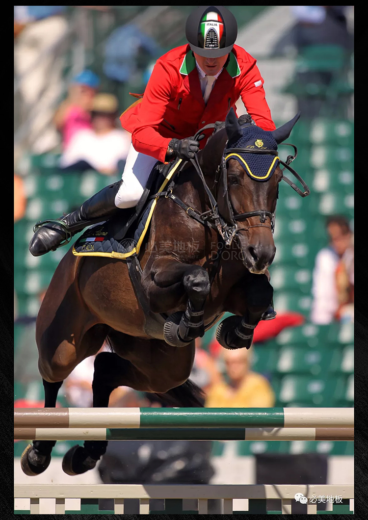 F6福鹿会_官方网站app下载