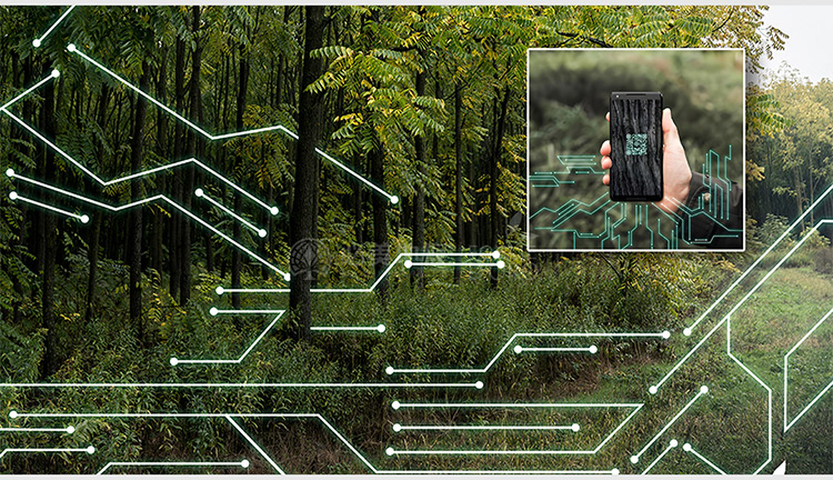 F6福鹿会_官方网站app下载