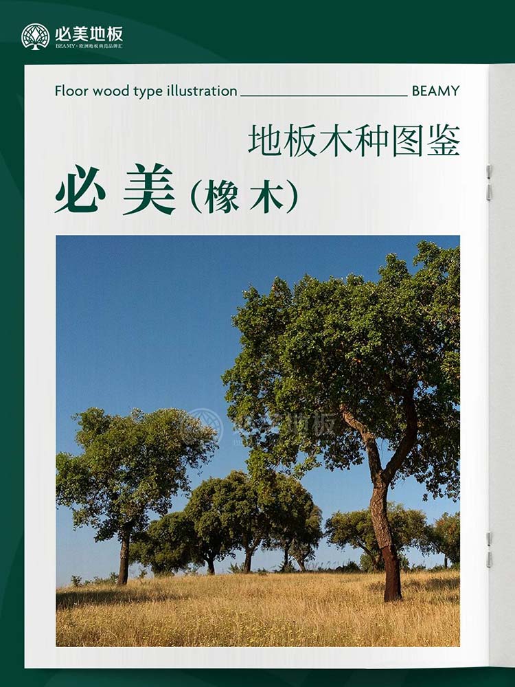 20251225104219_911 F6福鹿会_官方网站app下载