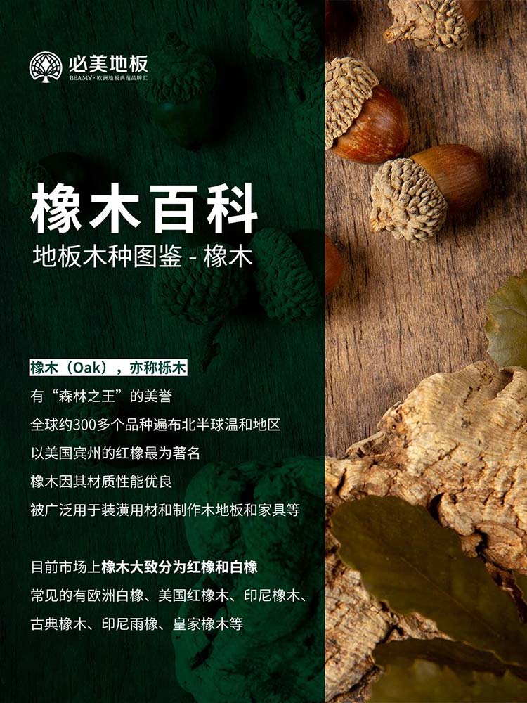 20251225104234_257 F6福鹿会_官方网站app下载