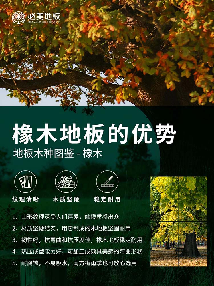 20251225104316_677 F6福鹿会_官方网站app下载