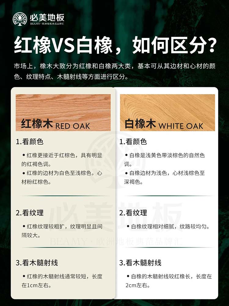 20251225104414_296 F6福鹿会_官方网站app下载