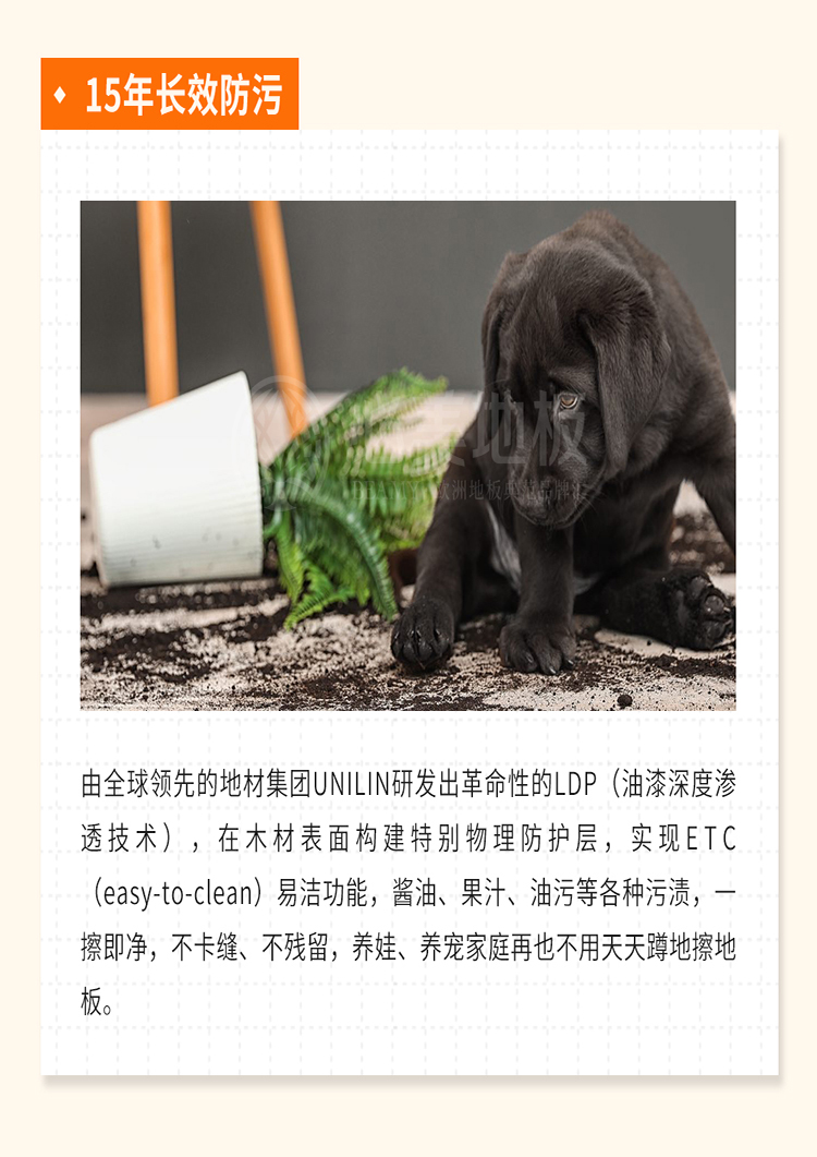 20260413095529_411 F6福鹿会_官方网站app下载