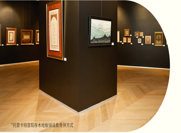 20260528171006_996 F6福鹿会_官方网站app下载